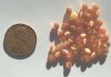 50 4mm Round Burnt Orange Fiber Optic